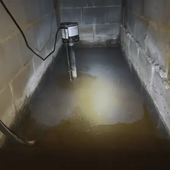 Standing water pooled on the ground of a block-wall crawl space under a house