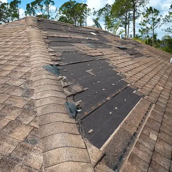 Wind-torn shingles on a pitched roof where a roof leak begins