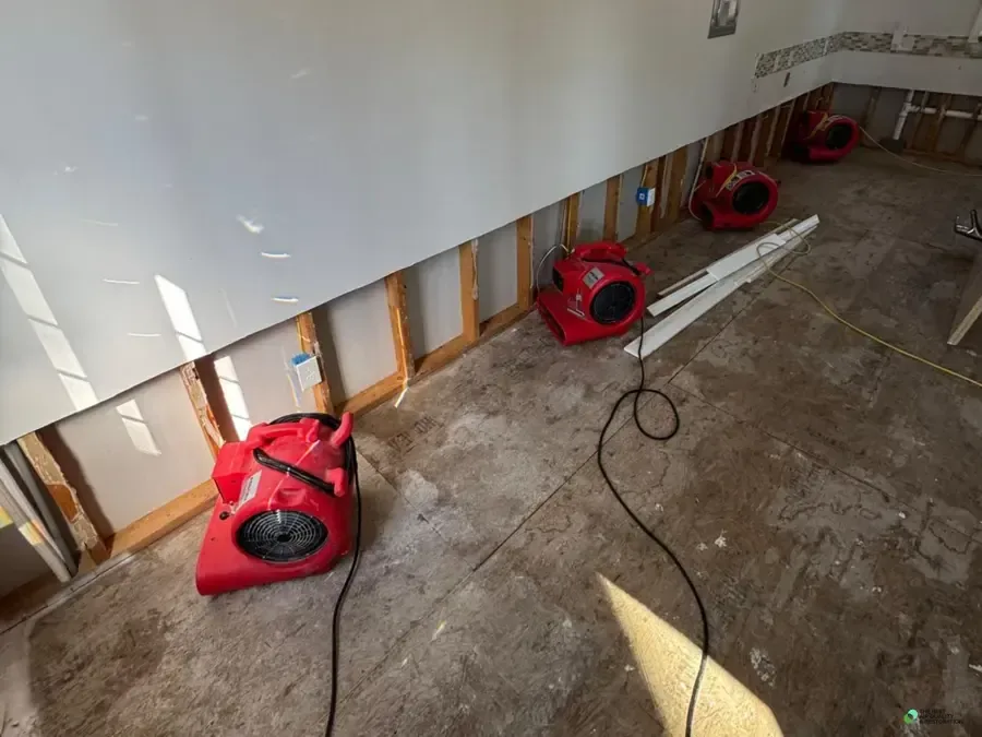 A row of air movers drying framing and subfloor along flood-cut walls